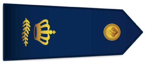 commissaris